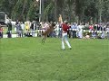 Dog Dancing