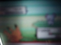 snubbull PR 2 snubbull PR 2