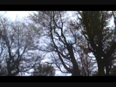 Punta arenas, territorio extremo