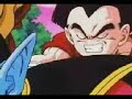 DRAGON BALL Z: GOKU VS BUU DRAGON BALL Z: GOKU VS BUU