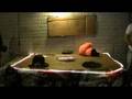 Human Whac-A-Mole