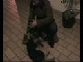 videos de SDV 0148