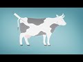 Meat the Future