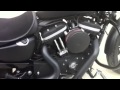 Harley Davidson Sportster 883
