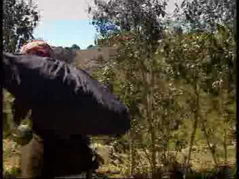 سكس يمنيات
