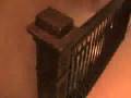 videos de Downsizing in Lincoln Park