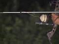 Bow fishing at night for bighead carp