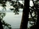 Aug 30 2008 - VID00090 Aug 30 2008 - VID00090