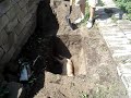 entierro de un perro
