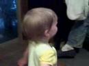 Apr 21 2008 - VID00010