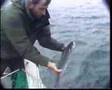 Bass Angling