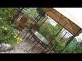 Garden and Landscape Ideas - Part 2