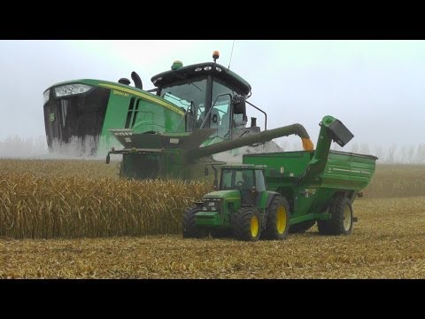 JD - Ein 16-Ender Hirsch ruft sein Johny-Rudel auf. John Deere S690i mit 616C beim Mais dreschen. Ein 8300 mit amerikanischen Überladewagen schafft es nicht Shiva...