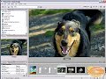 adobe-bridge-tutorial-changing-layout-settings-and-views.html
