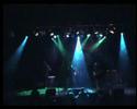 Hedache - Nest of Greed (live)