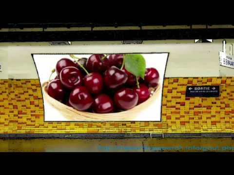 how to avoid uric acid