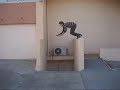 Must of Street - Video 2 Must of Street - Video 2