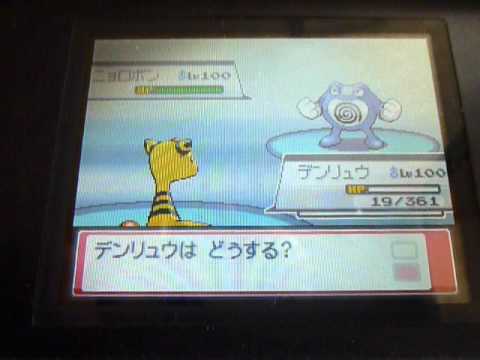 改造不死身のデンリュウVSなんかうざいネジキ