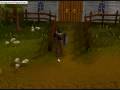videos de Worst Clue Scroll Reward..part 2