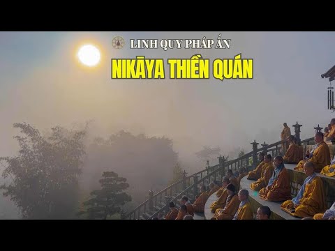 NIKAYA Thiền Quán - Chúng Ta Đang Bị Hại *