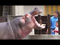 動物園に行こう 動物園