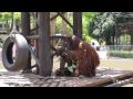 動物園に行こう