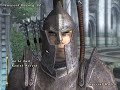 Imperial Guard Arrests