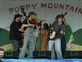 The Hillbilly Gypsies - 
