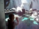 Cooper at Sea World