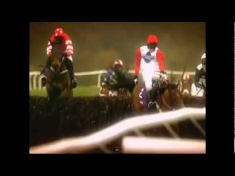 paddy power cheltenham