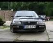 Czarny kociak D16A9 / By Kurek