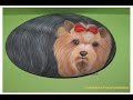 cani gatti