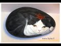 cani gatti