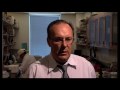 Professor Alexander Raikhel on Entomology