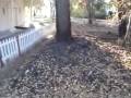 After the Fire: A tour of the formal gardens and prayer chapel