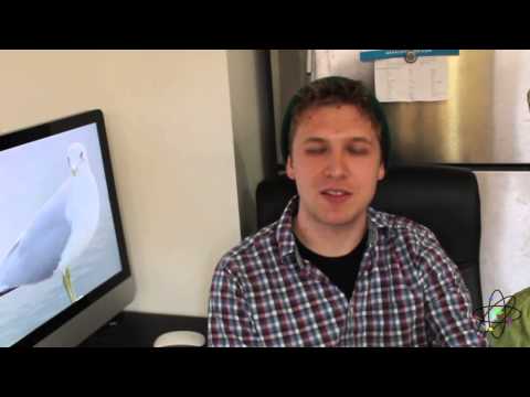 powerball drawing time