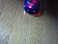 トリビアの泉動画