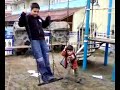 Parkta oyun