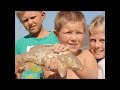 Click here to watch this video Vensterklip