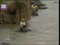 KOES PLOES --JO PODO NELONGSO--