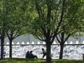 videos de RPTS 209: Tree City, USA