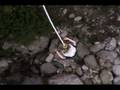 nepal_bungy2.avi