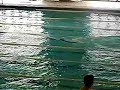 Giorgia Viero 200 mt surface finswimming