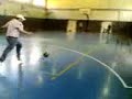 ITIS Galvani Palestra