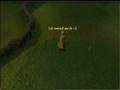 videos de barrows fight