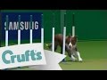 Crufts 2009 YKC Agility Winner