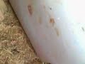 Barn find MGA and moisture retention system