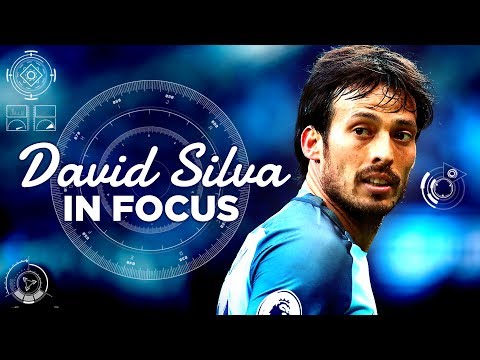 Video: DAVID SILVA 2016/17 PREMIER LEAGUE BEST BITS | In Focus