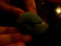 videos de Die Nosn ... pfeift