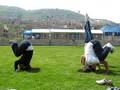 caidas chistosas las feas